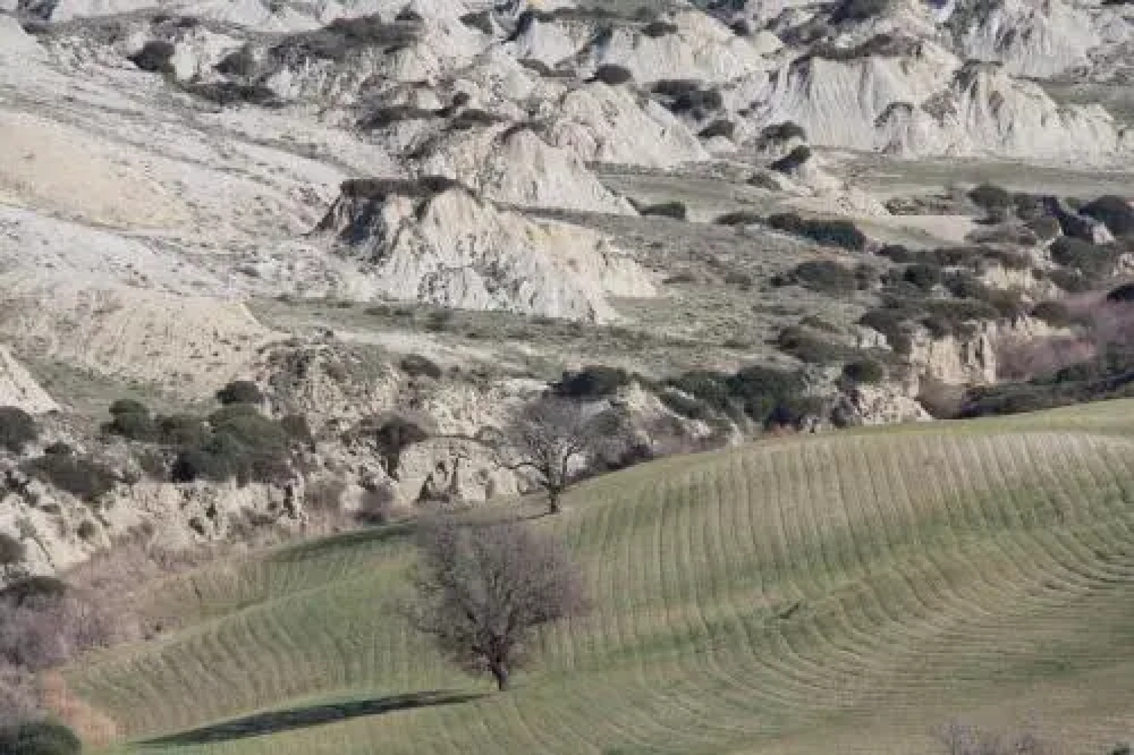 La Casa dell'Americano