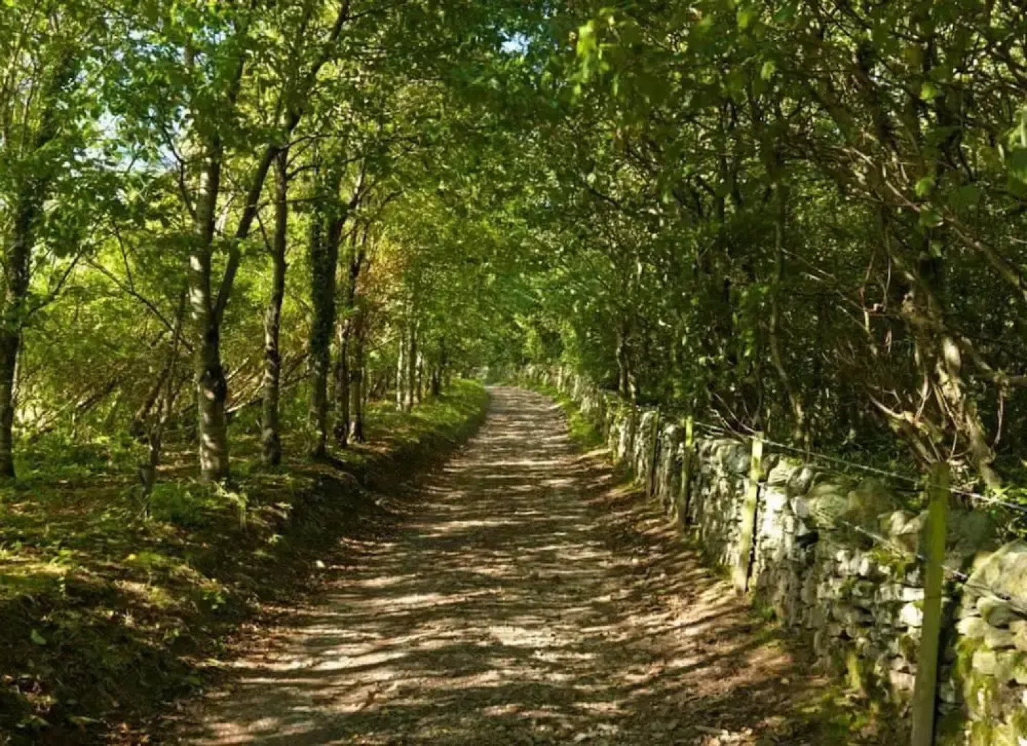 14 'zosma' Bell Tent Glamping Anglesey