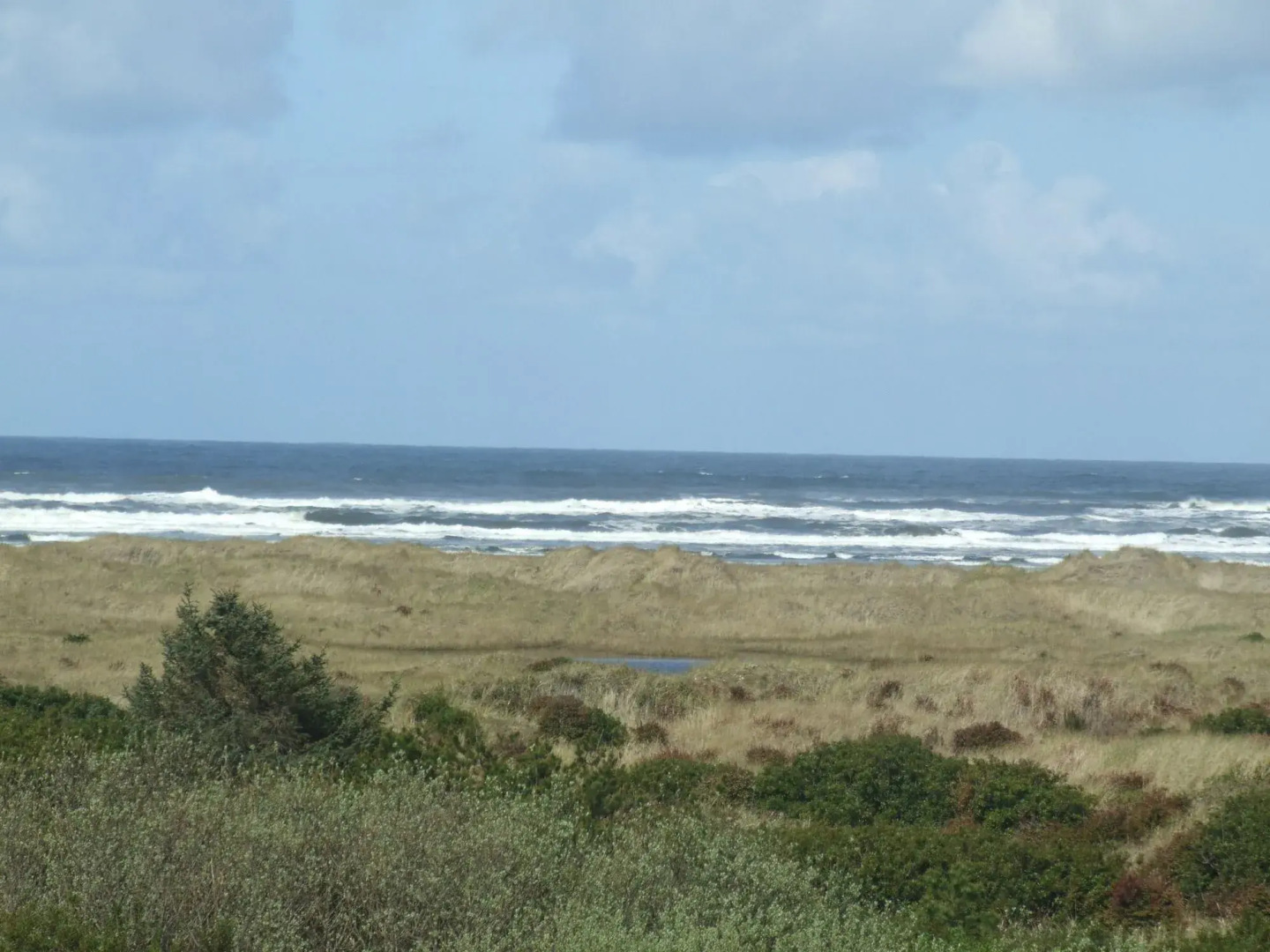 Comfort Inn & Suites Ocean Shores
