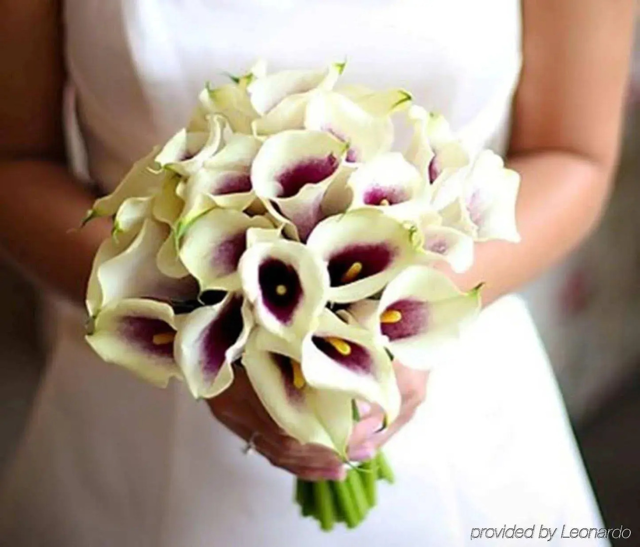 Hampton Inn High Point