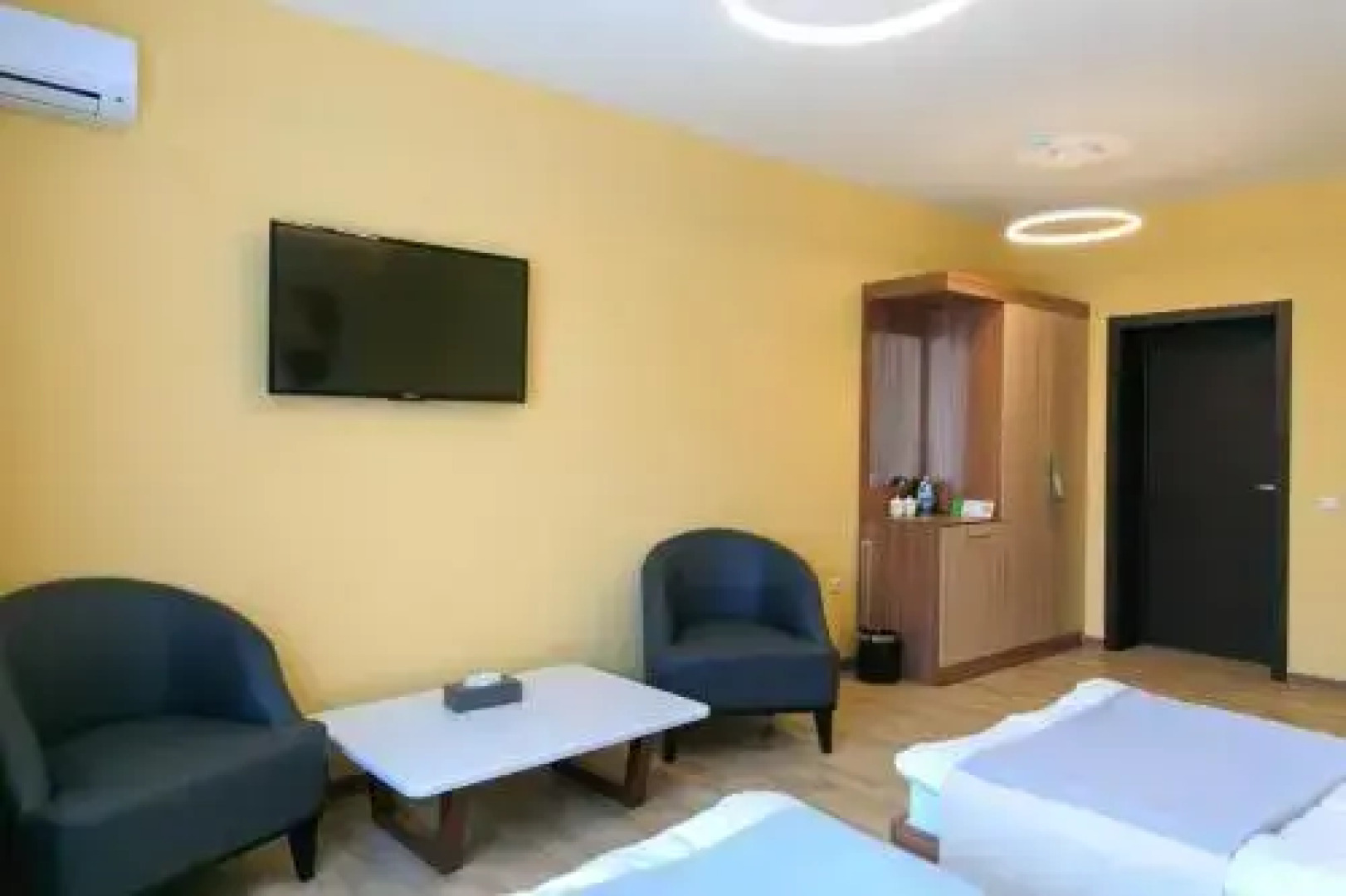 Green Which Tourist Borovoye