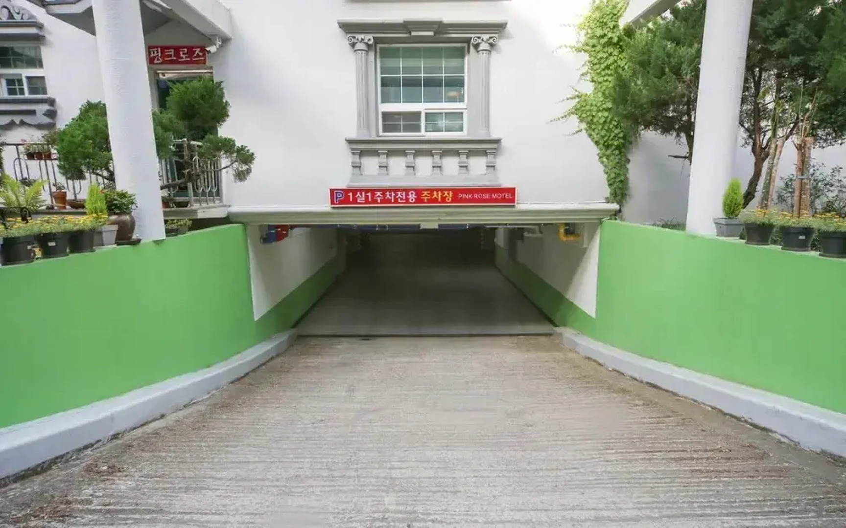 Gumi Geumosan Pink Rose