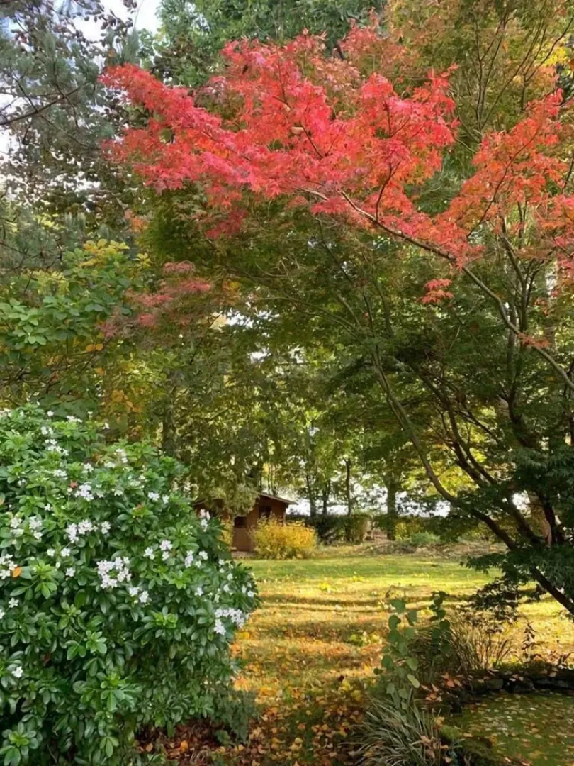 Yew Tree Cottage B&B