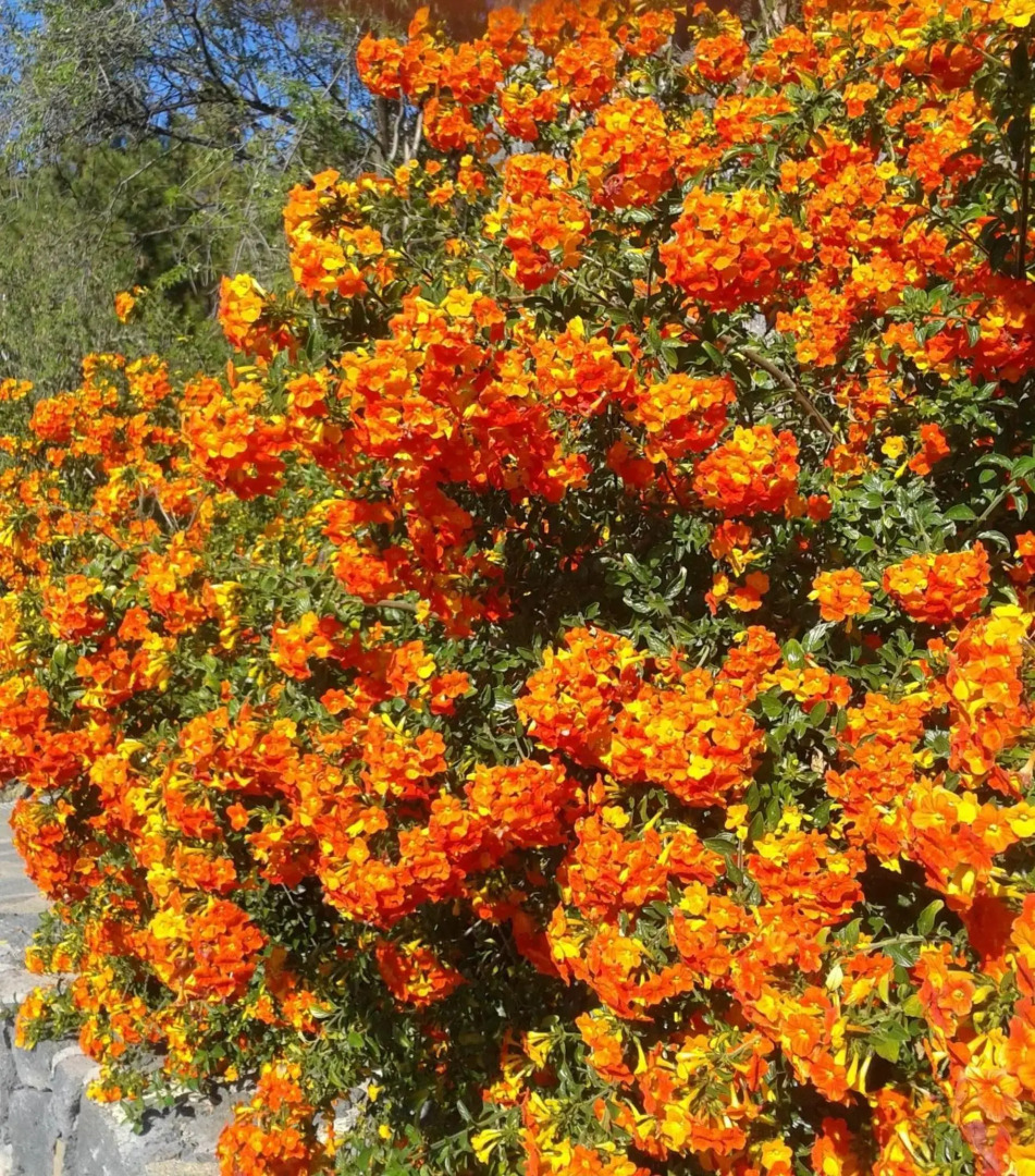 Villa Atlantico - beheizter Pool, Sauna