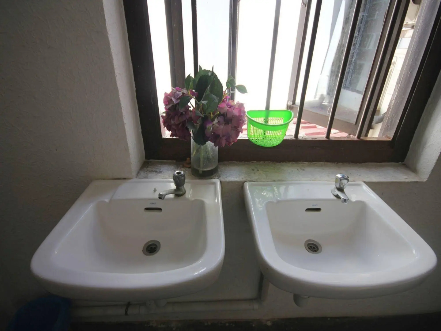 Cocoa Mews Cafe & Homestay - Hostel