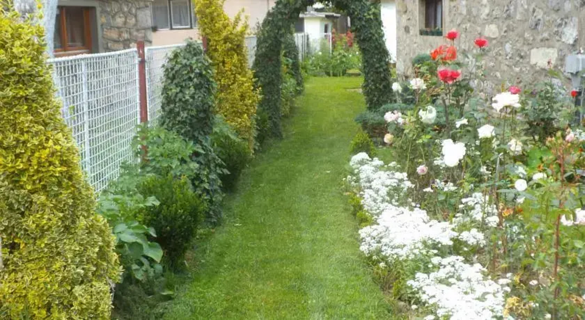 Apartments Markovic