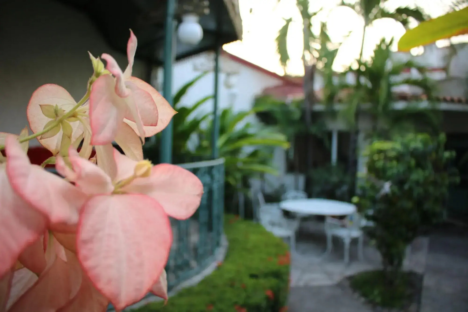 Suites Ejecutivas Los Arcos