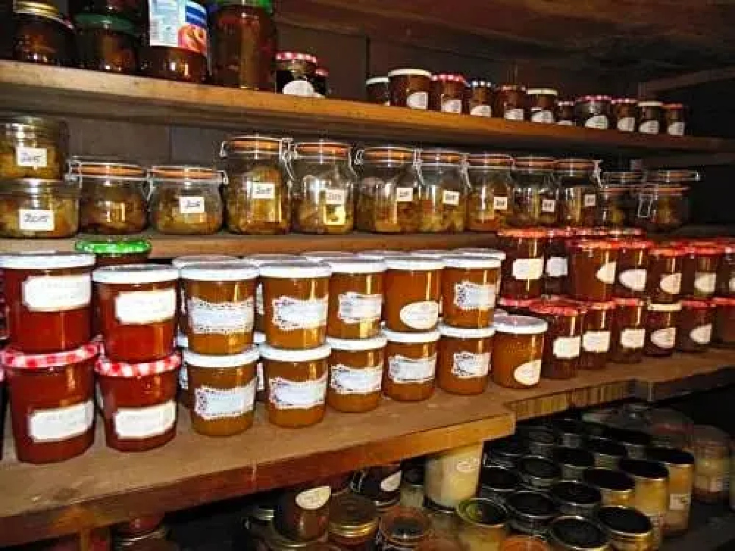 Le Fief de la Ribeyre (Adults Only)