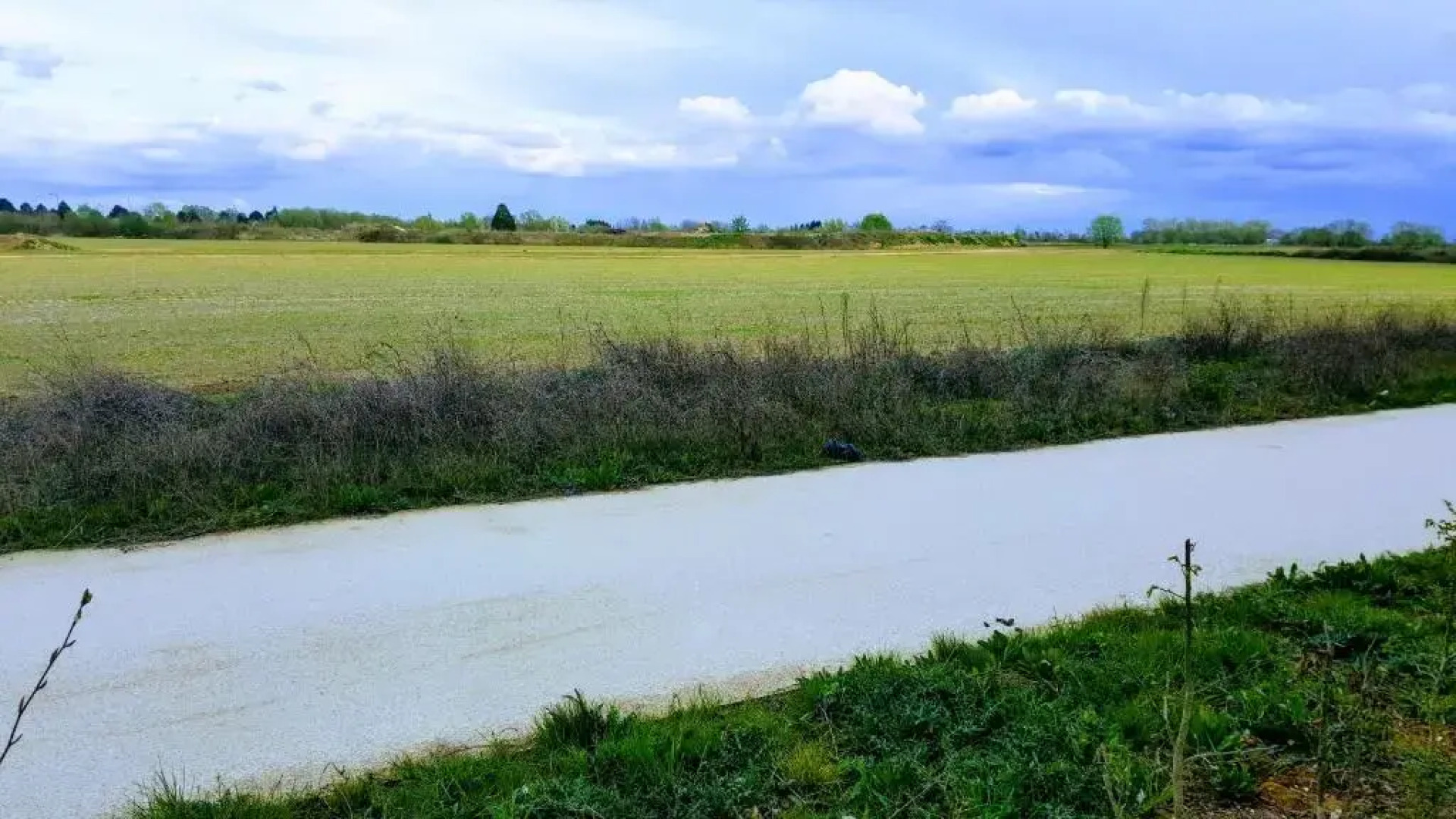 Mickey's closest neighbor