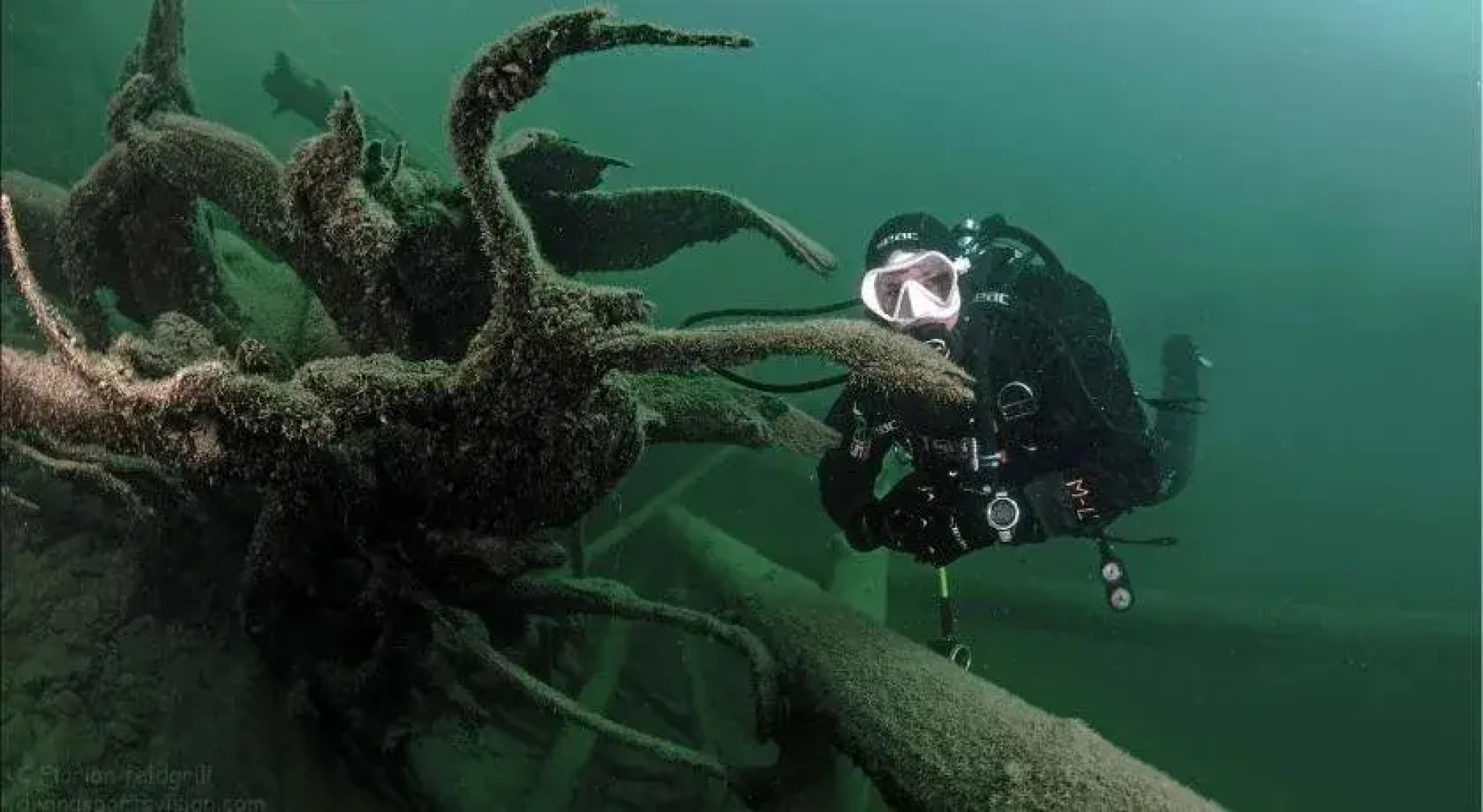 Hotel Moser - Ihr Hotel mit Herz