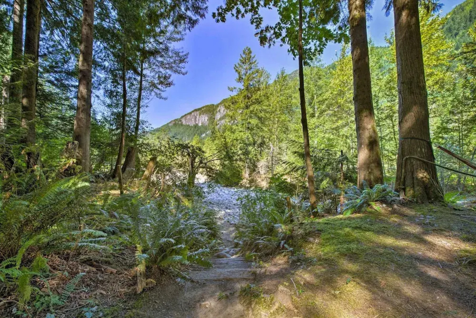 Three Enchanting Riverfront Cabins: Hot Tub Access
