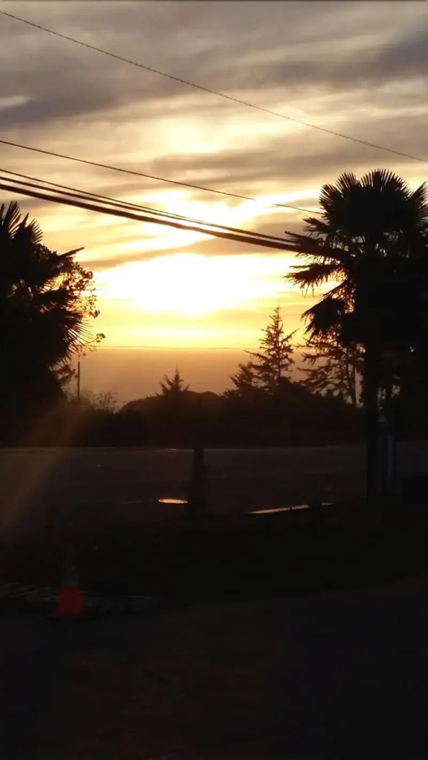 Blue Coast Inn and Suites