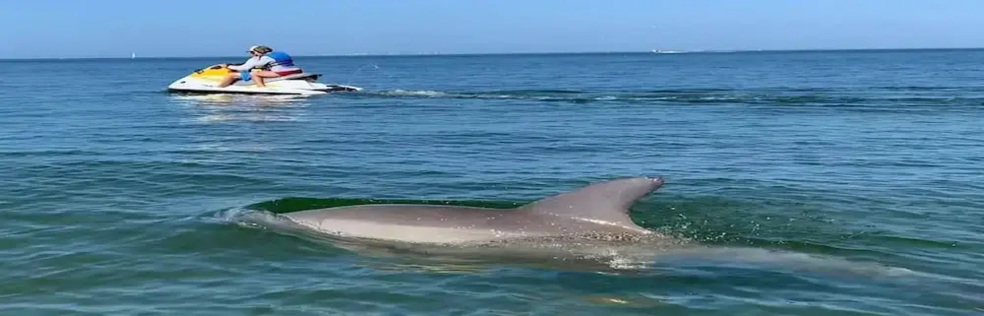 Harborside Suites at Little Harbor