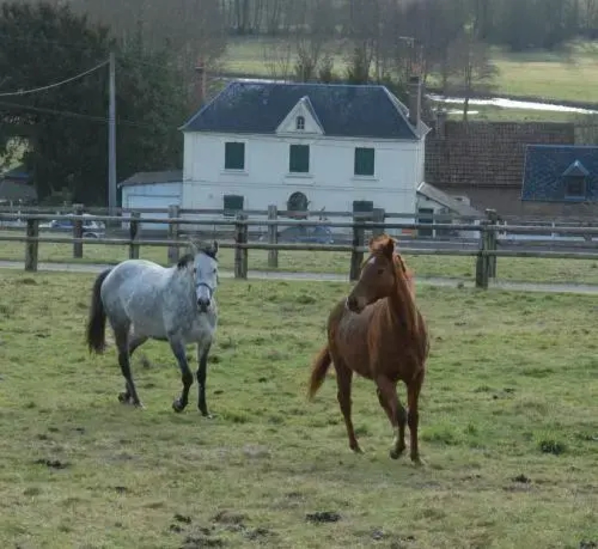 Les Chambres du Manoir de Guitry