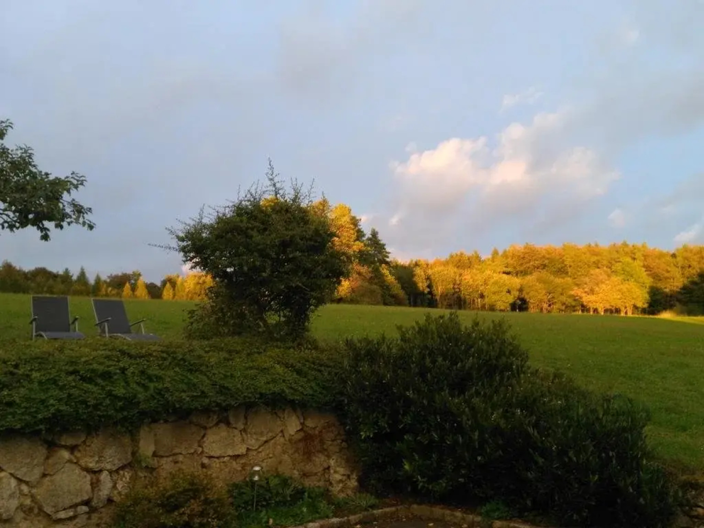 Pension am Wald