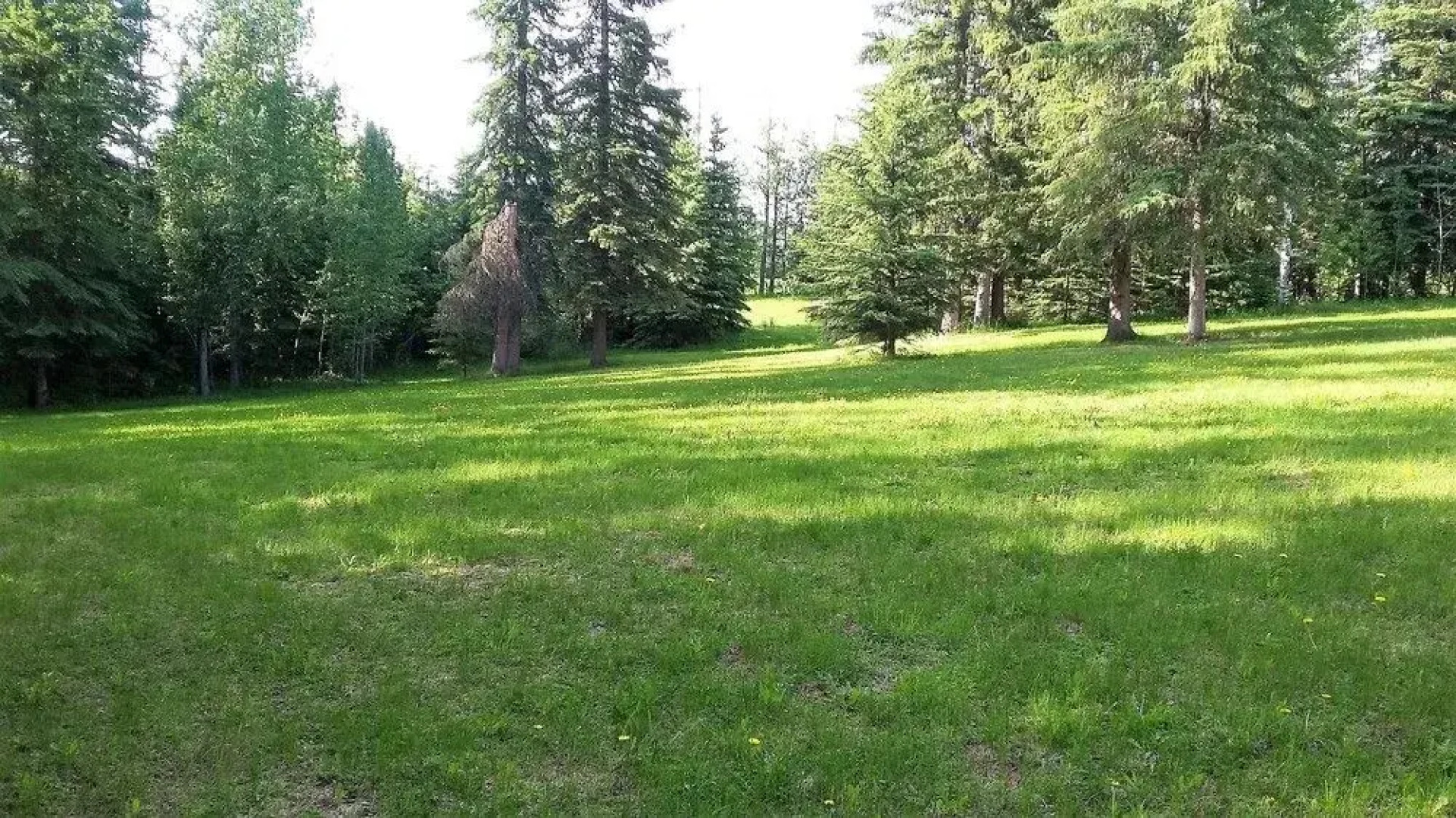 Luxury All Suites B&B