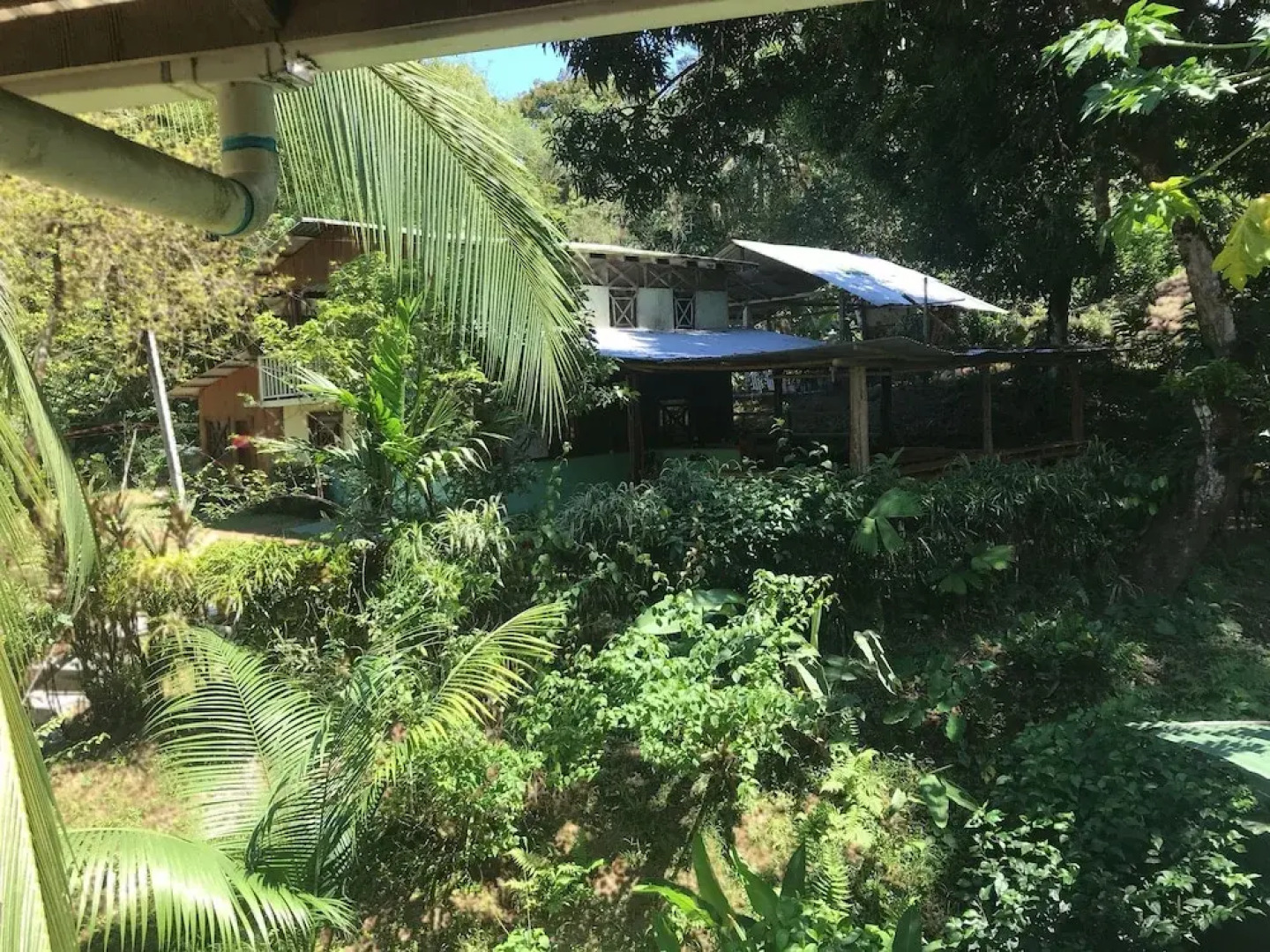 Drake Bay Paradise Lodge