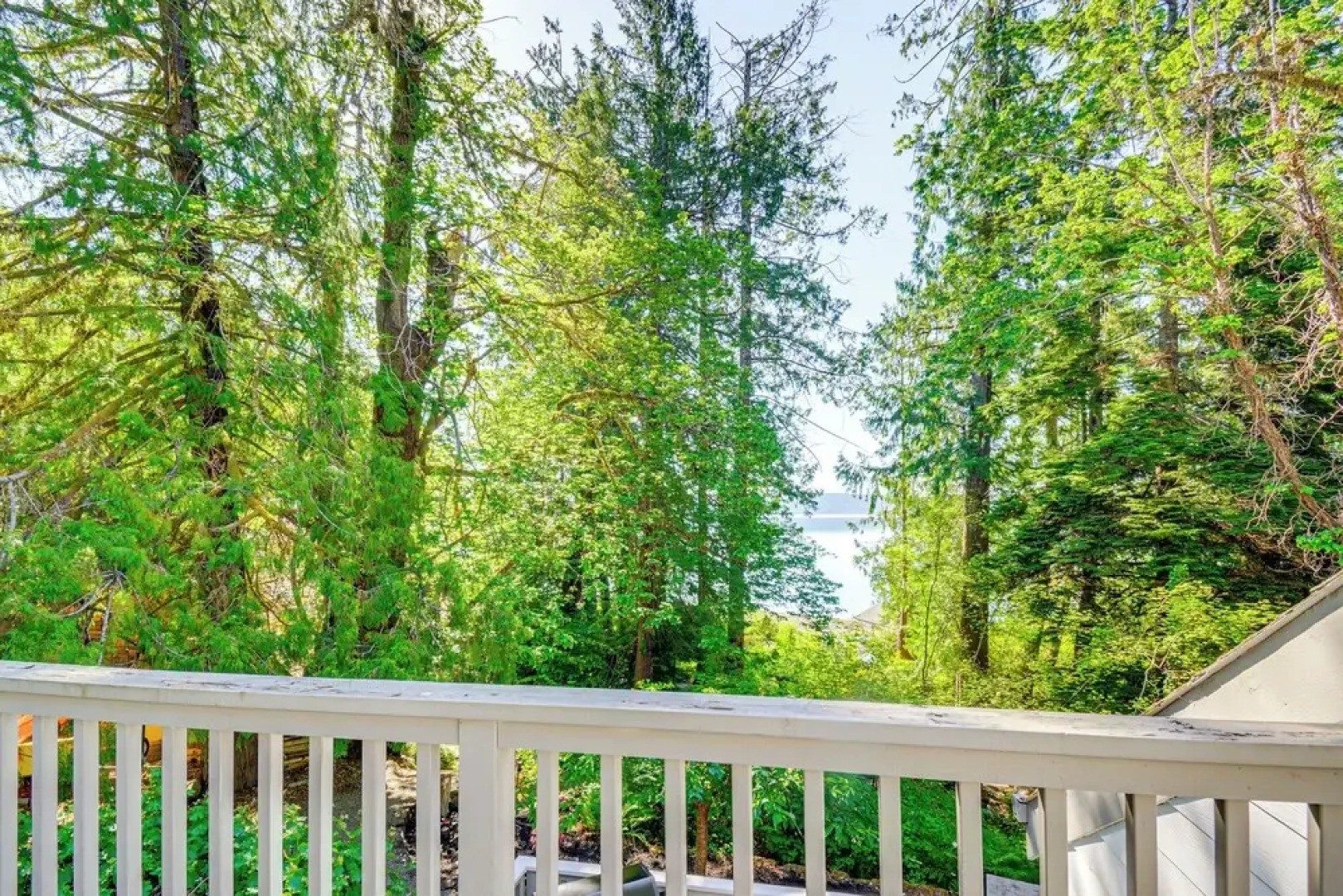 Shelton Gem w/ Kayaks: Private Beach Oyster Hunt