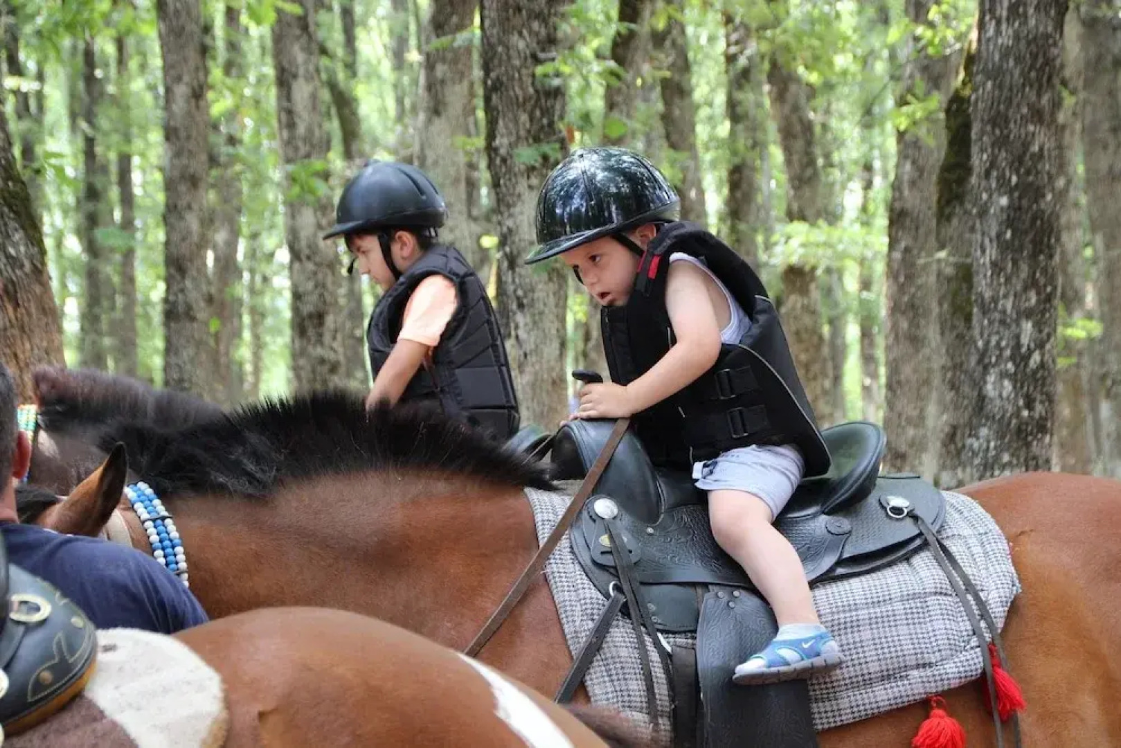 Hotel Aristotelis Apollonia Spa