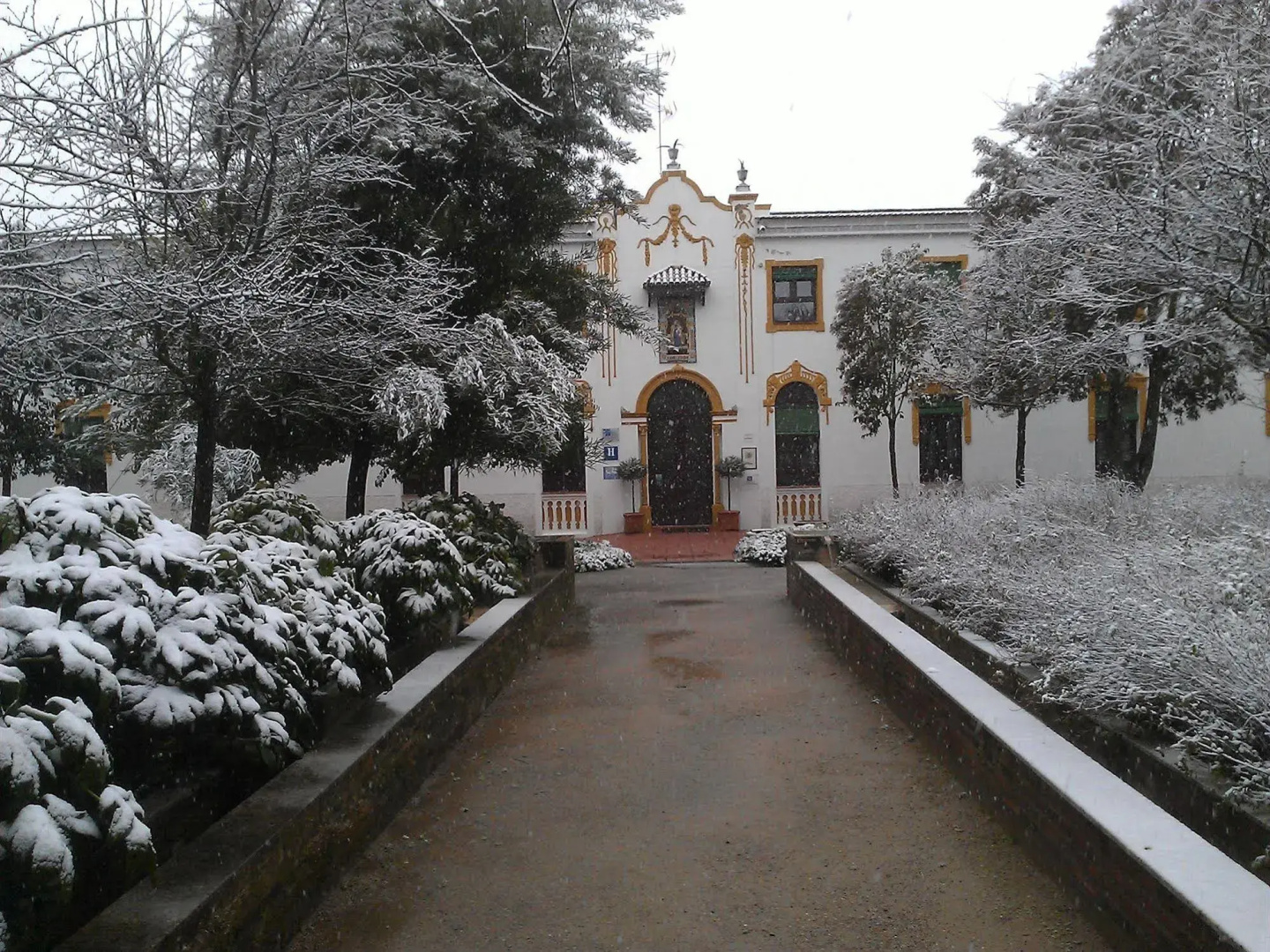 El Raposo