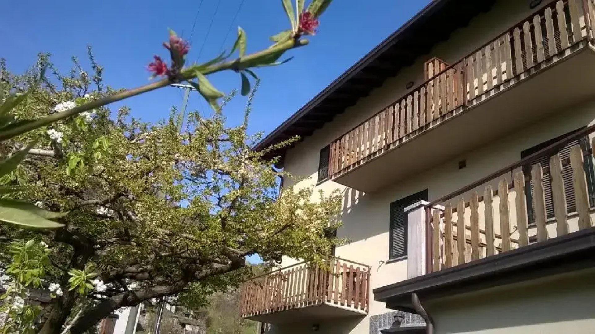 Ristorante Pensione Belandin