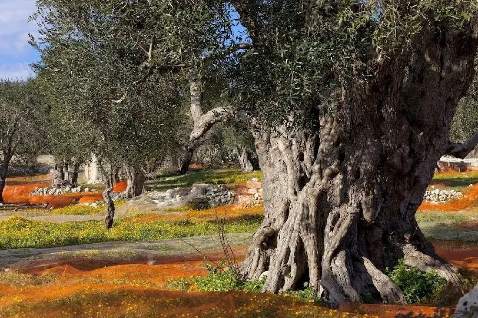 Residenza Celeste