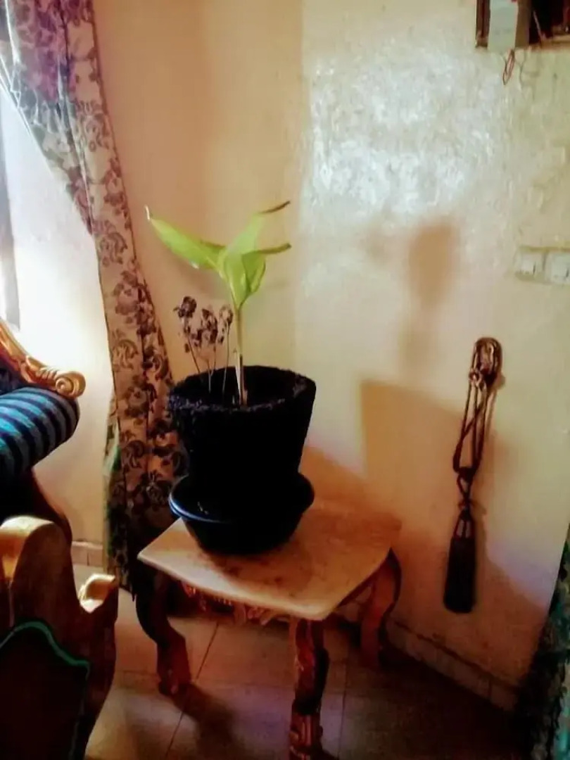 Maisons D'Hotes Laguiri