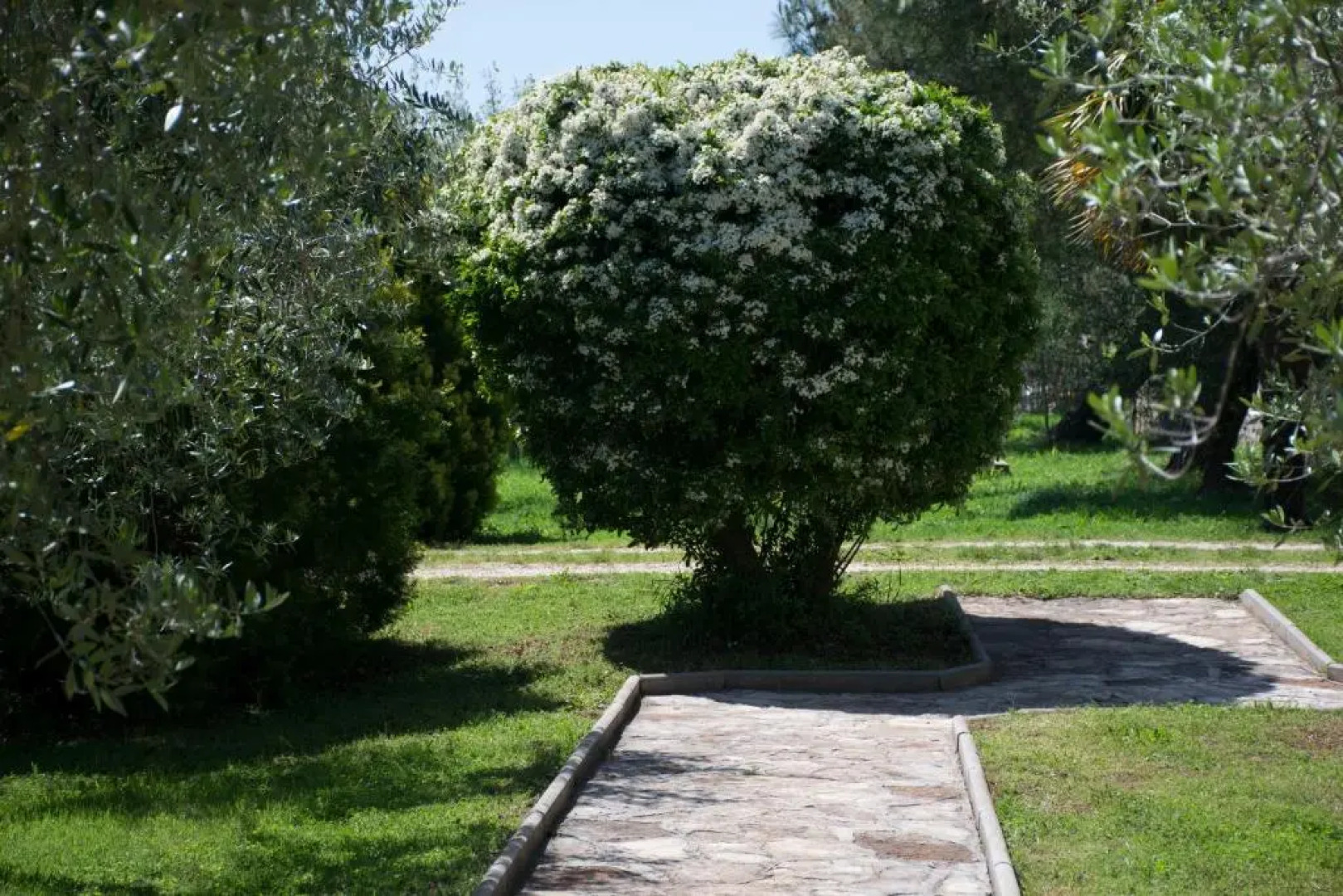 Sanja apartments Sveti Servul