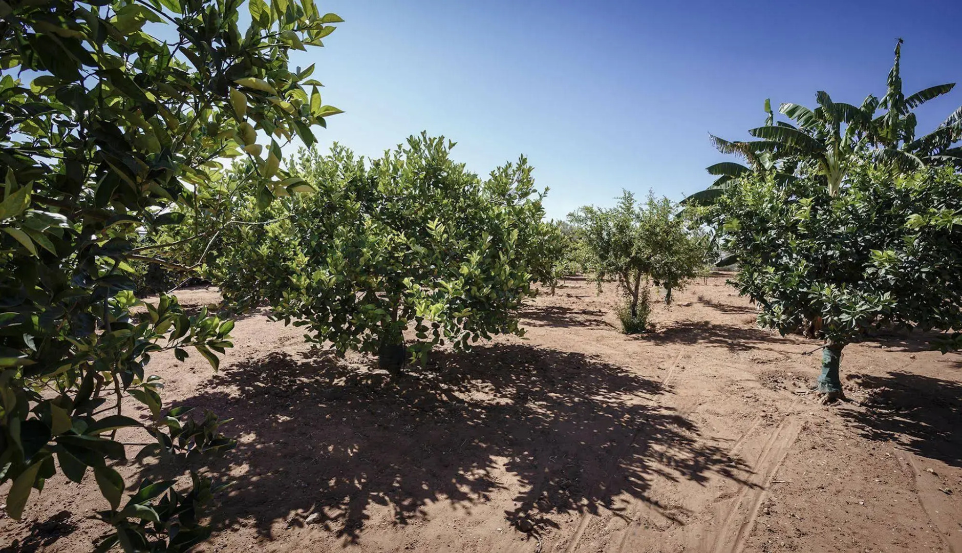 Sikelika - Residence sul mare