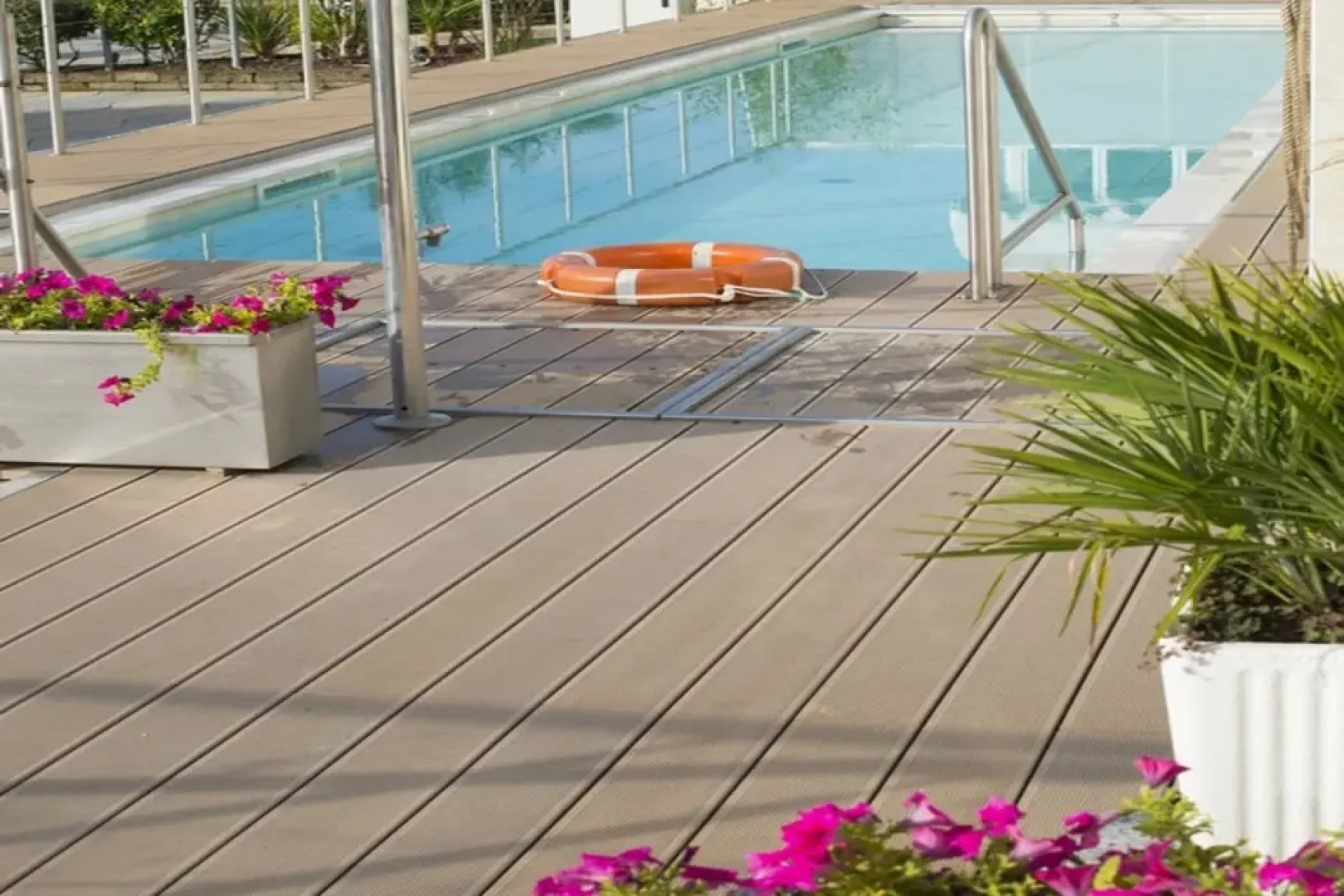 Vidi Miramare & Delfino