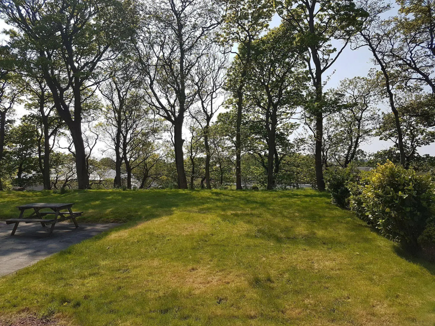 Annfield House Hotel