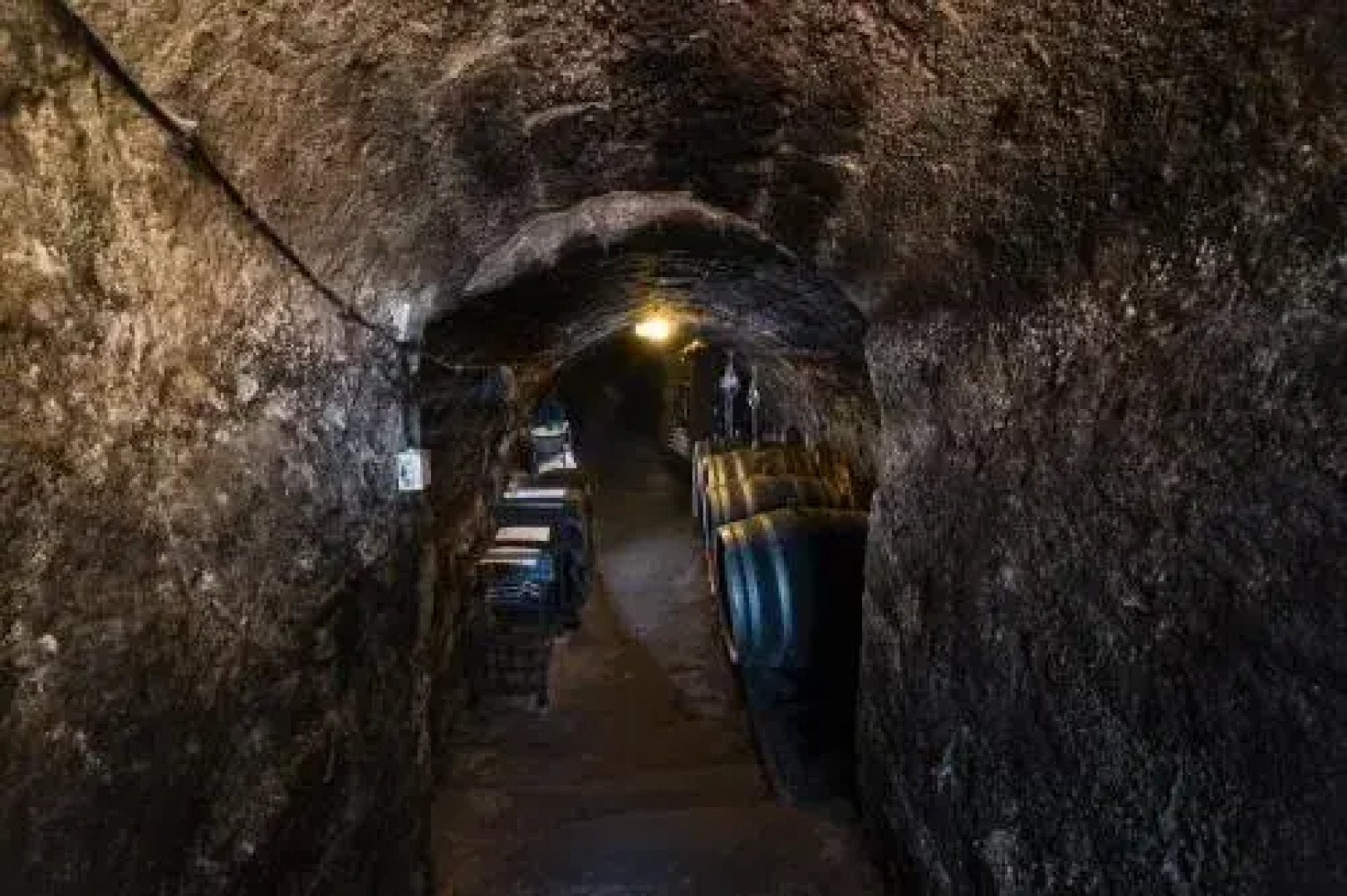 Vaskó Panzió Borpince