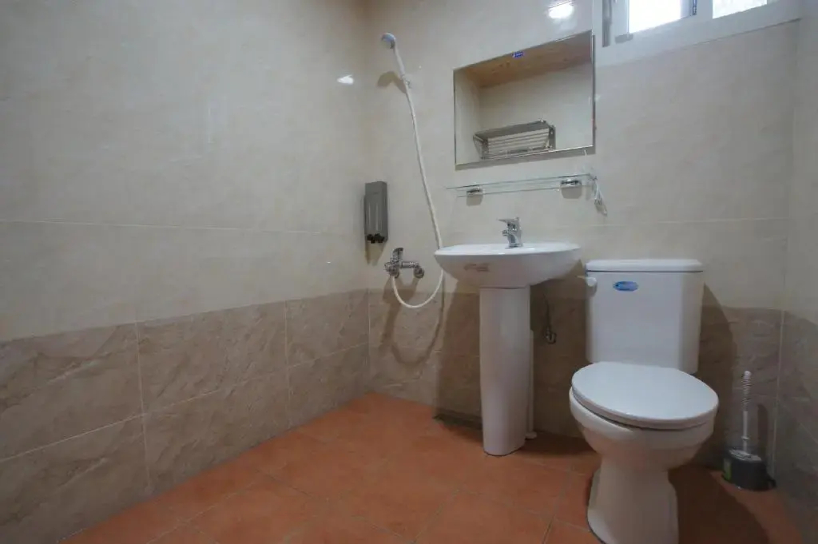 Hemerocallis Country House