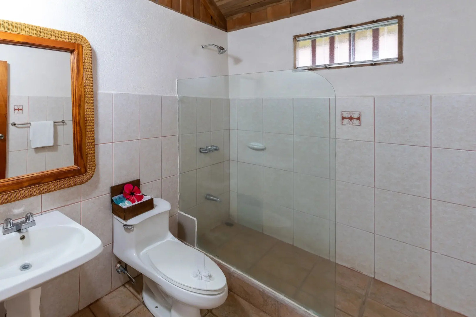 Hotel Lavas Tacotal