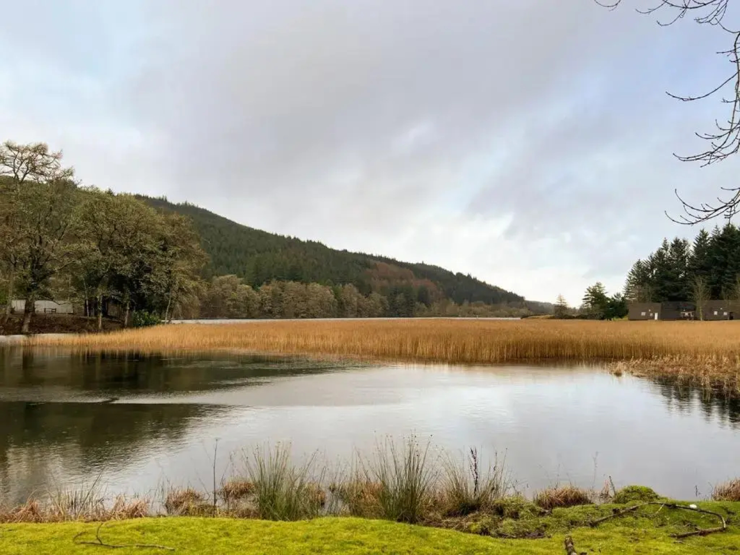 Glen View - UK37557