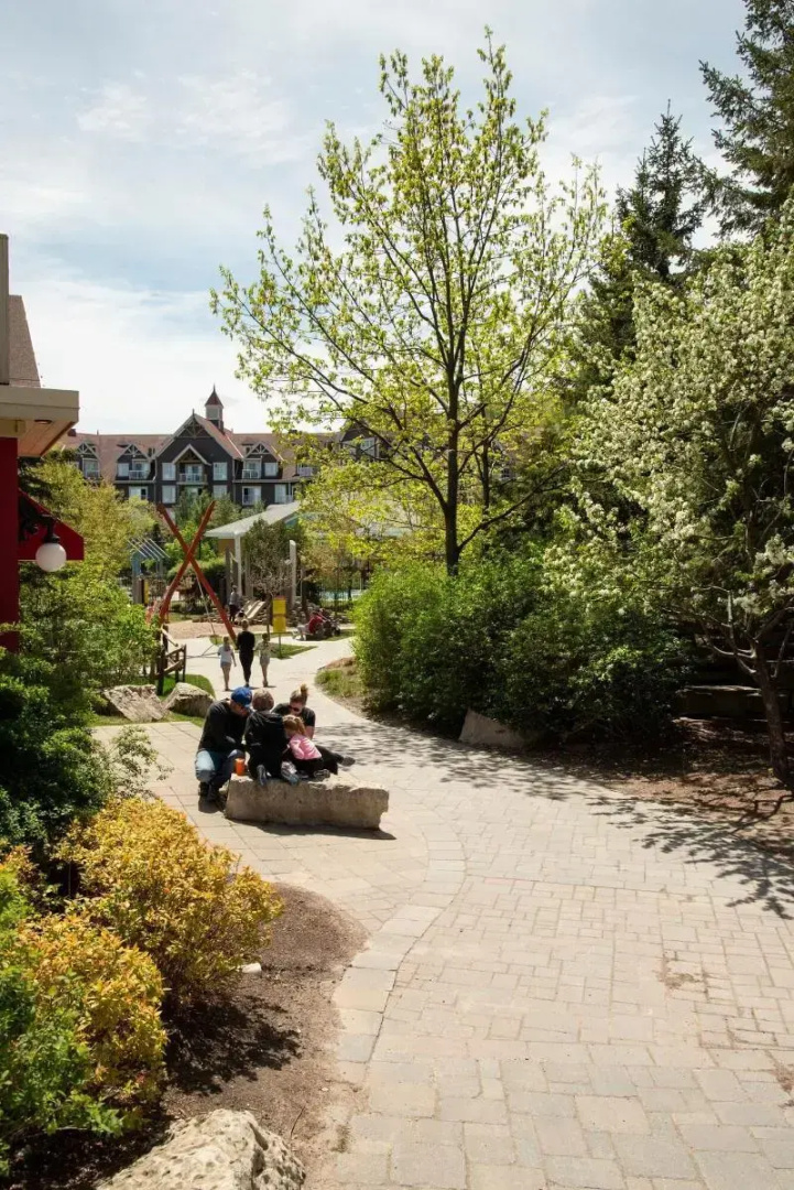 Blue Mountain Inn & Village Suites