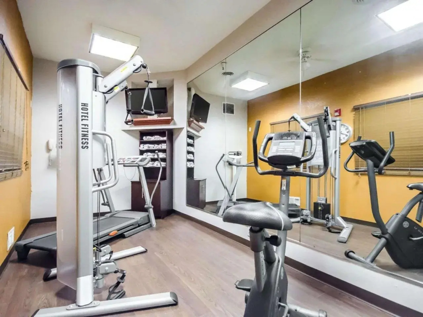 Spark by Hilton La Grange