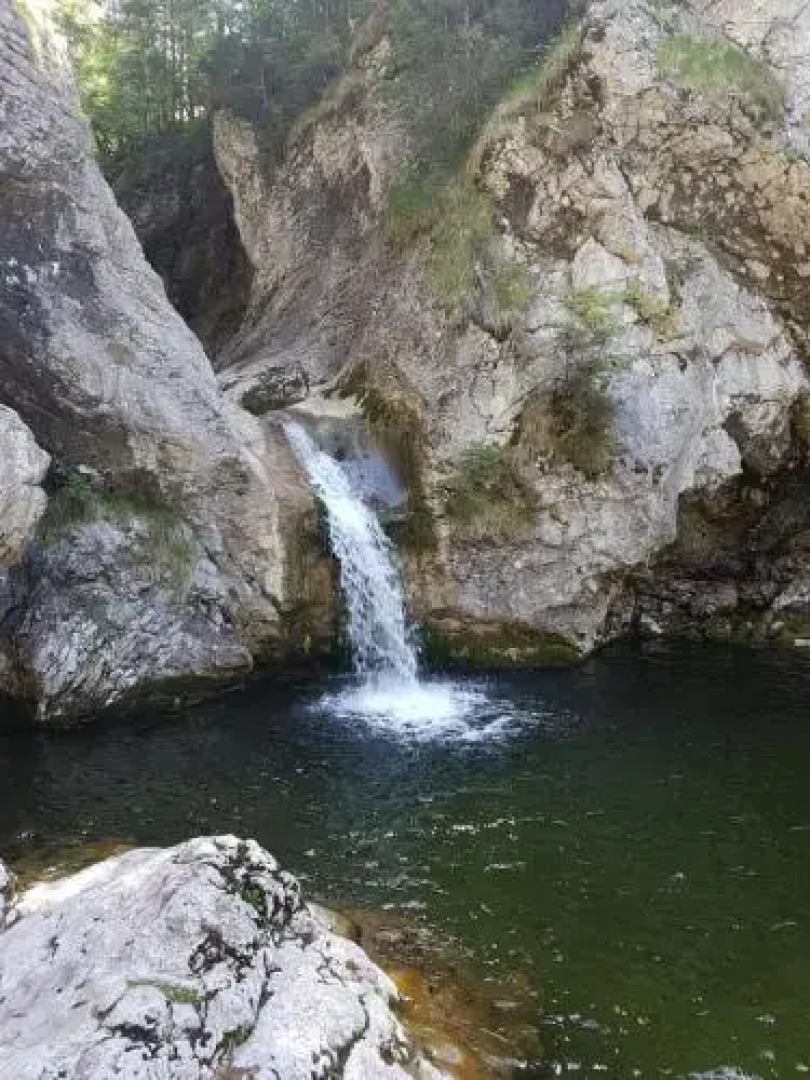 Ferienwohnung Unterdürmoos