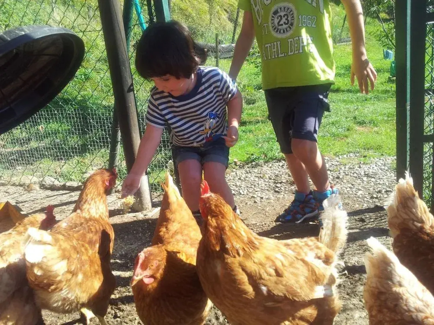 Casa Rural Basajarau