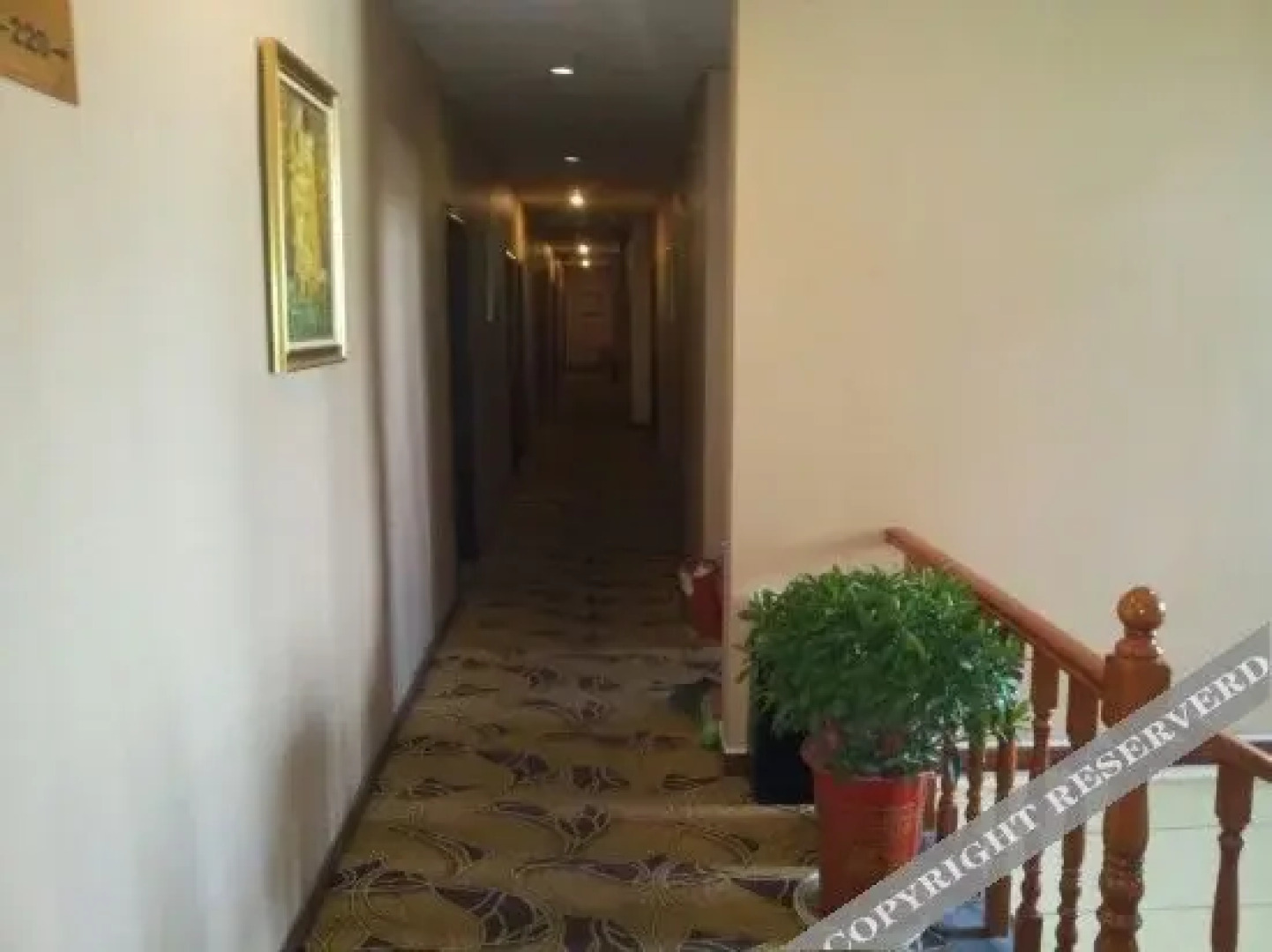 Pingguo Business Hotel