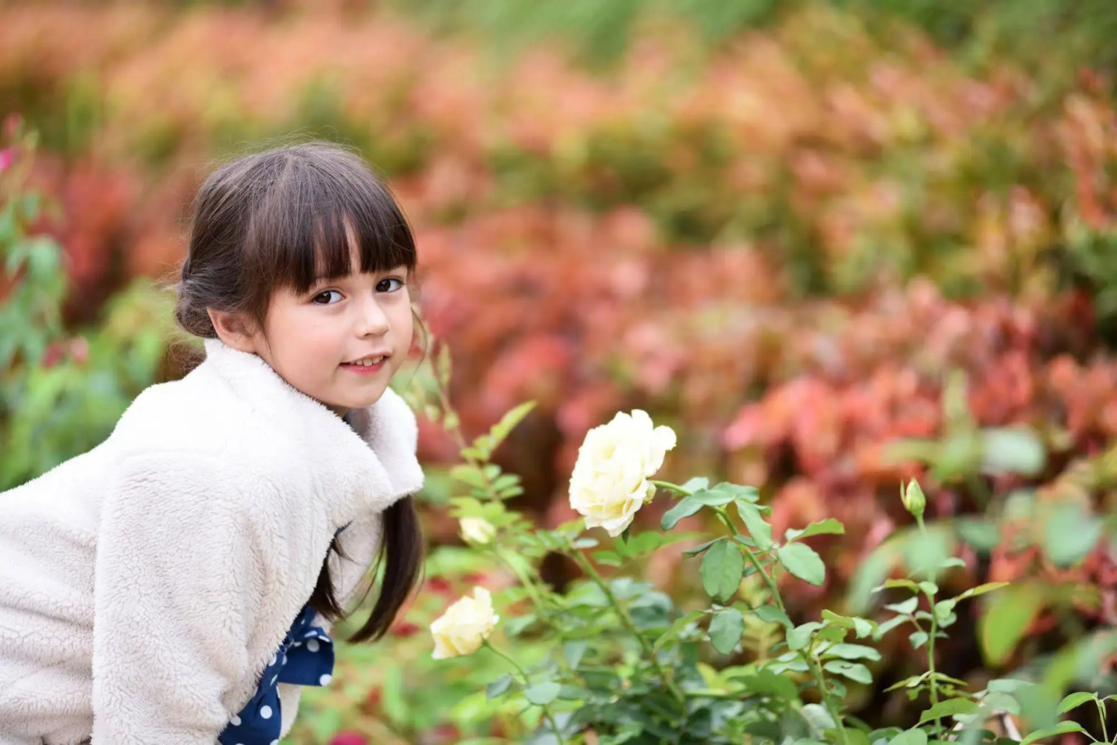 Byemuang Khaokho Resort View Talaymok