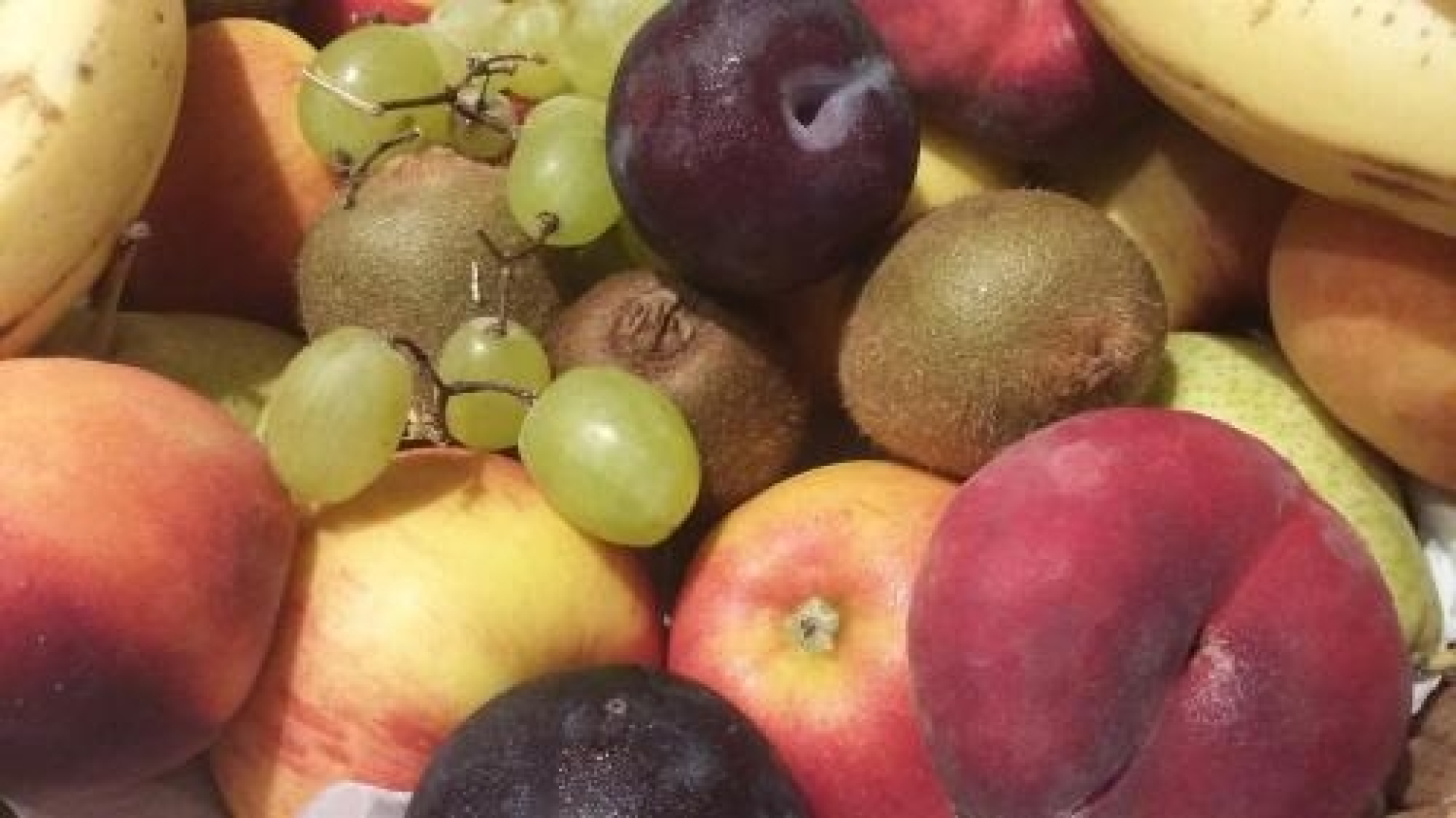 Hotel-Pension Seeblick