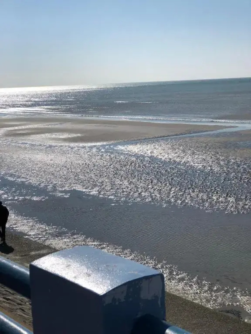 appart « EMMA » sur Quend Plage avec vue mer !