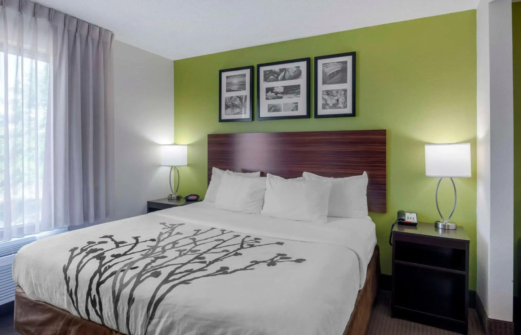 Sleep Inn & Suites Prince George near Fort Lee