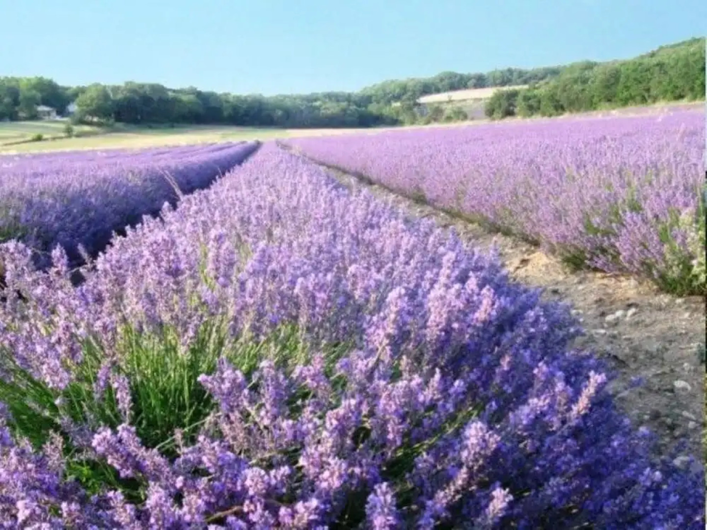 Mas de Pantaï - Bastide Chamaret