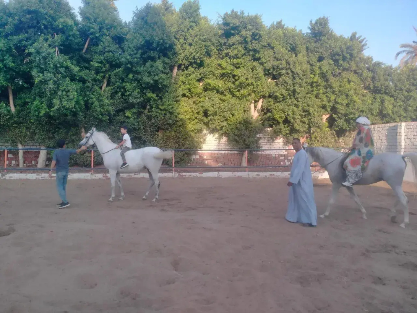 Nasser Abughoneim Guest house