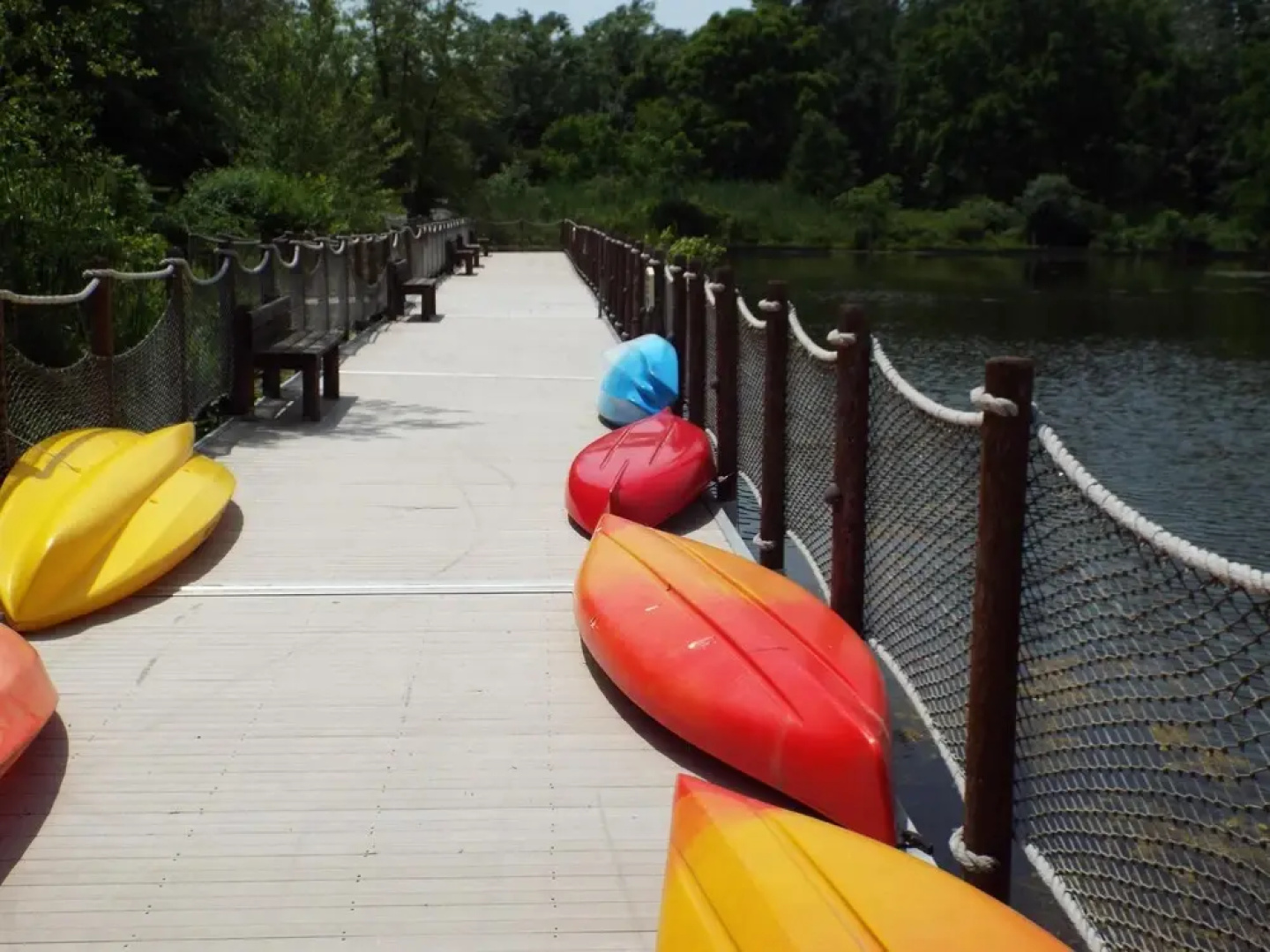 Condos within The Black Creek Sanctuary by GTL Properties