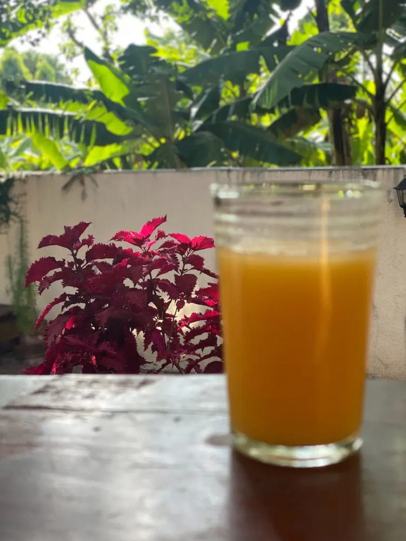 Fortune Kilimanjaro Lodge