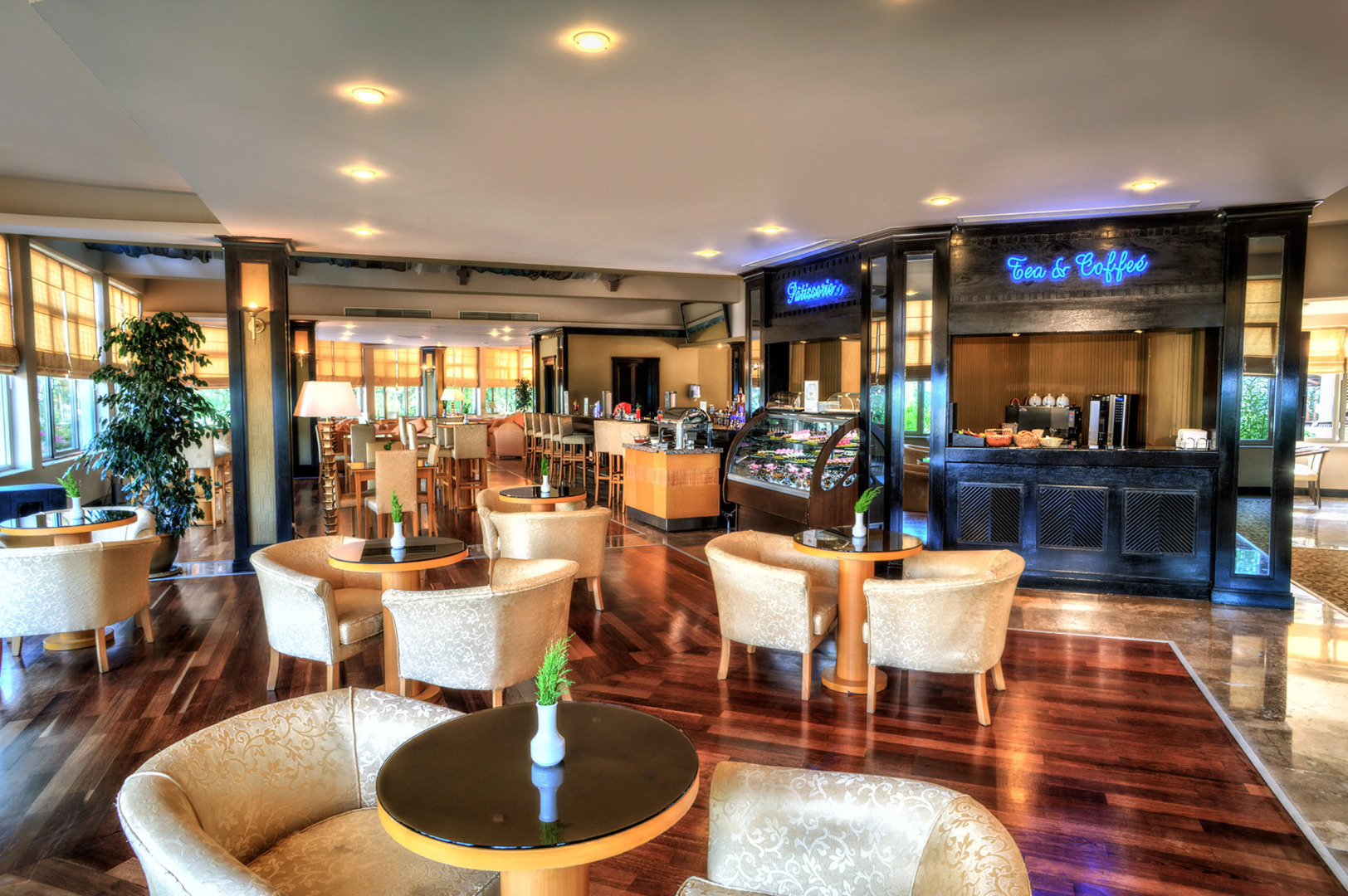 Gypsophila Club Marine