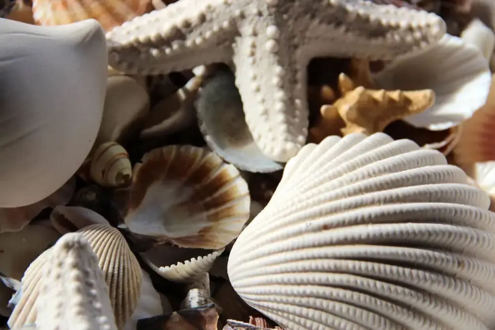 Villa With 2 Bedrooms in Villaputzu, With Wonderful sea View, Private Pool, Enclosed Garden Near the Beach